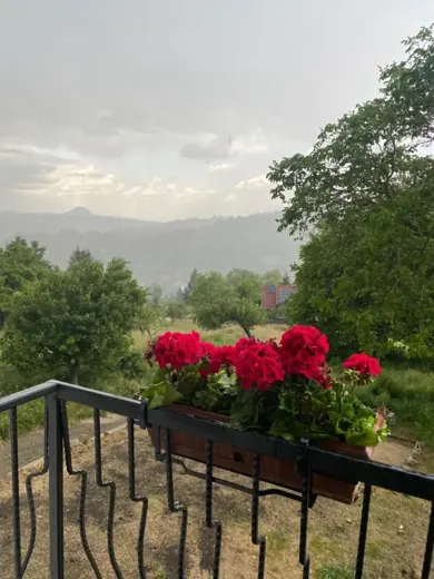 Mușcate la balcon, cu muntele în zare